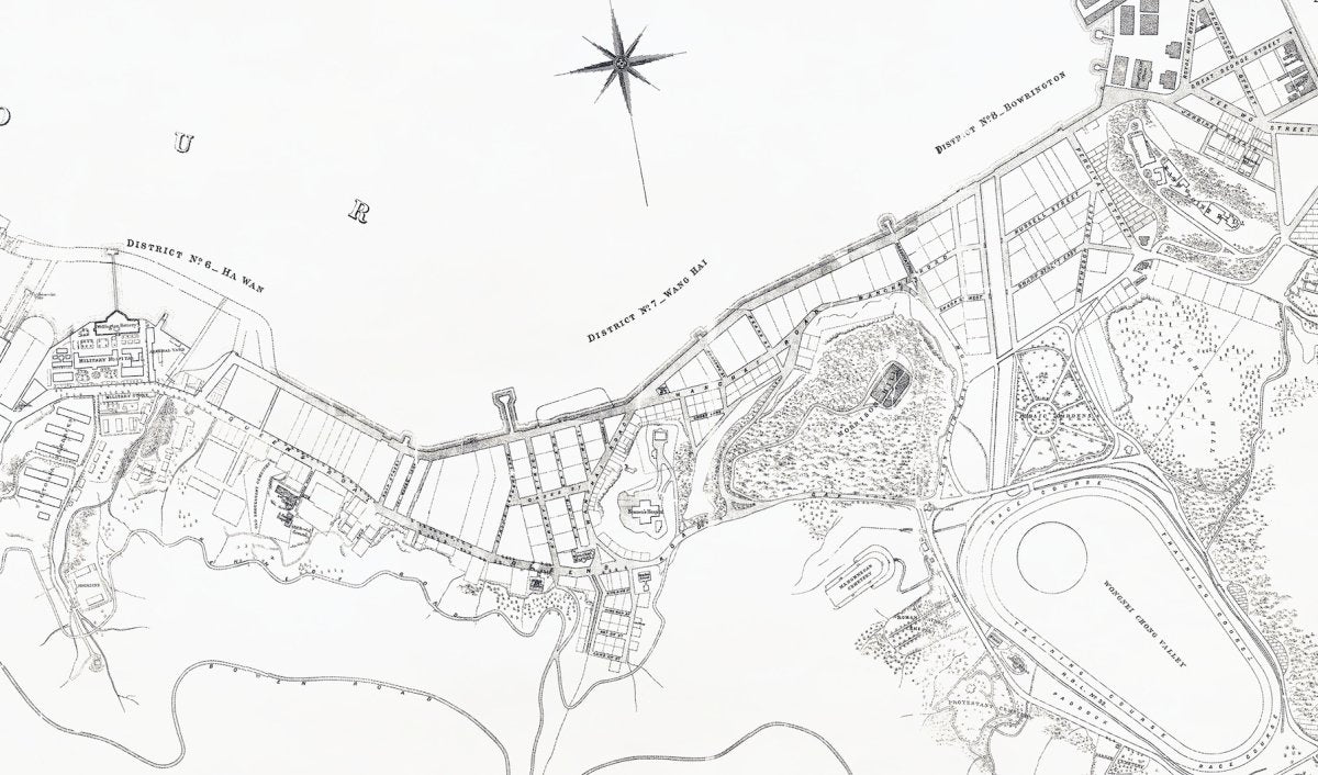 Detail of the 1889 sheet: districts No. 6 to No. 8, with Wongnei Chong Valley and the racecourse
