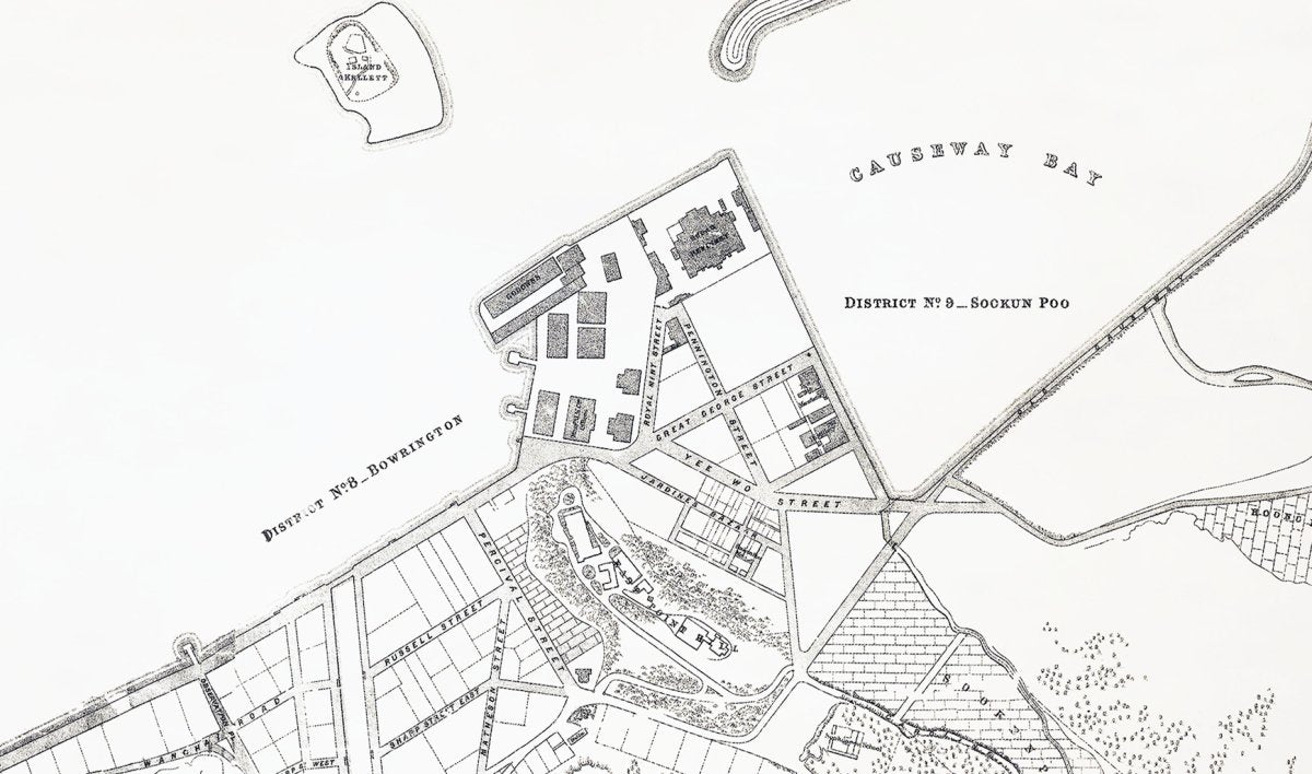 Detail of the 1889 sheet: Causeway Bay and District No. 9 - Sockun Poo