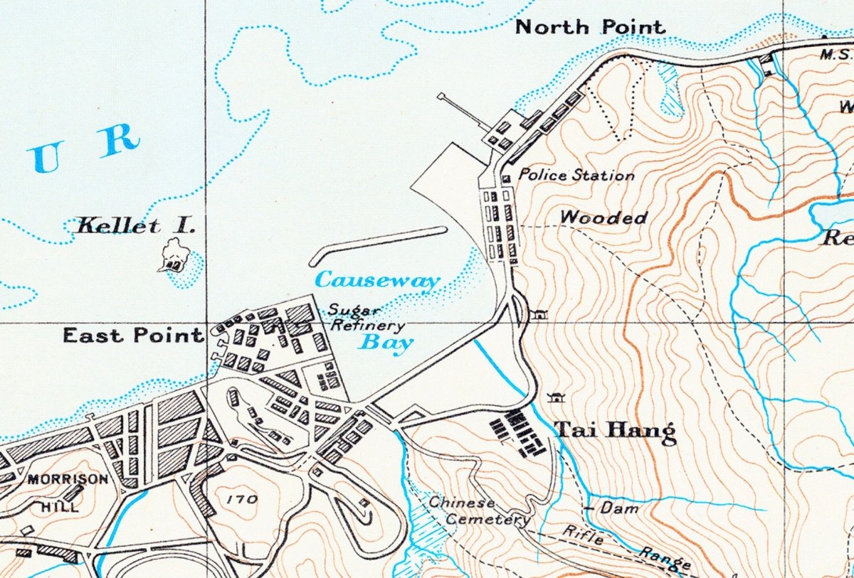 1913年香港島九龍重製油畫布舊地圖 - Hong Kong Maper