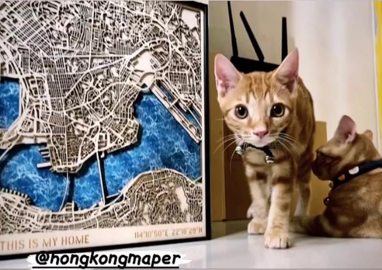 立體木雕刻香港地圖連金屬框 32cm - Hong Kong Maper