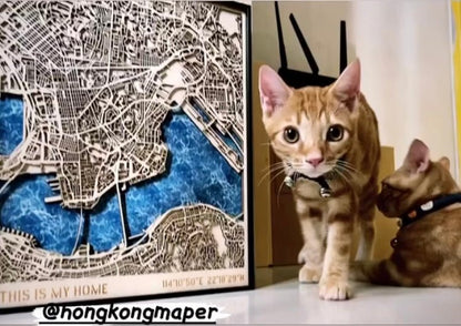 立體木雕刻香港地圖連金屬框 32cm - Hong Kong Maper